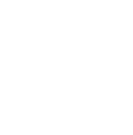 Nagual Creations Logo